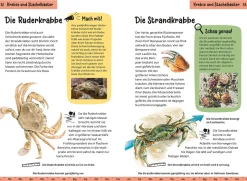 Was lebt an Strand und Küste? Kindernaturführer