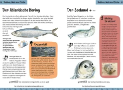 Was lebt an Strand und Küste? Kindernaturführer