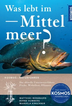 Was lebt im Mittelmeer?