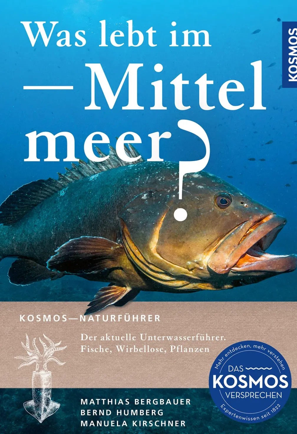 Was lebt im Mittelmeer?