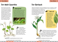 Was lebt im Wald? Kindernaturführer