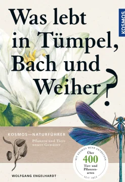 Was lebt in Tümpel, Bach und Weiher?