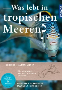 Was lebt in tropischen Meeren?
