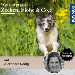 Was tun gegen Zecken, Flöhe und Co.?