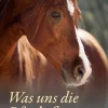 Was uns die Pferde flüstern