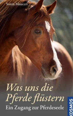 Was uns die Pferde flüstern