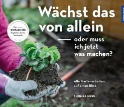 Wächst das von allein - oder muss ich jetzt machen?