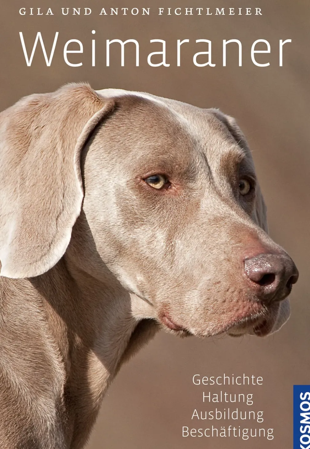 Weimaraner