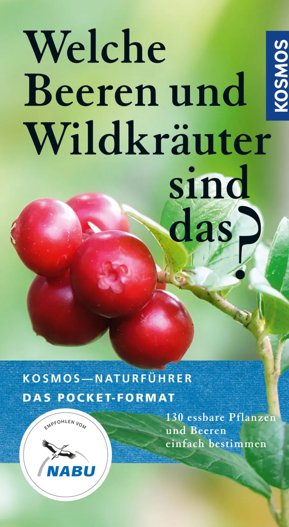 Welche Beeren und Wildkräuter sind das?