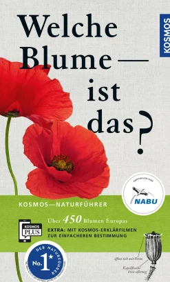 Welche Blume ist das?