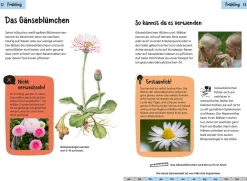 Welche essbare Pflanze ist das? Kindernaturführer