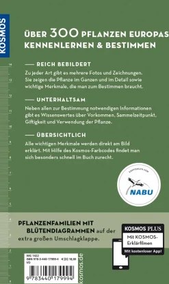 Welche essbare Wildpflanze ist das?
