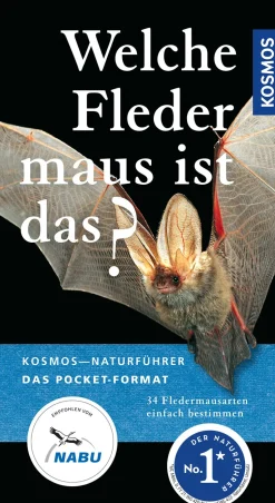 Welche Fledermaus ist das?