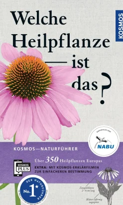 Welche Heilpflanze ist das?