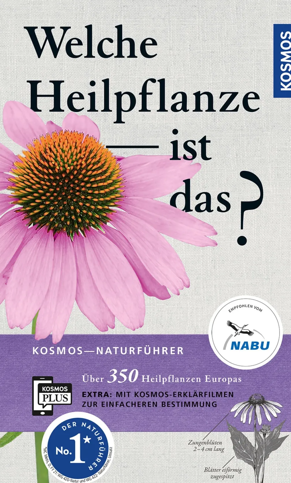 Welche Heilpflanze ist das?