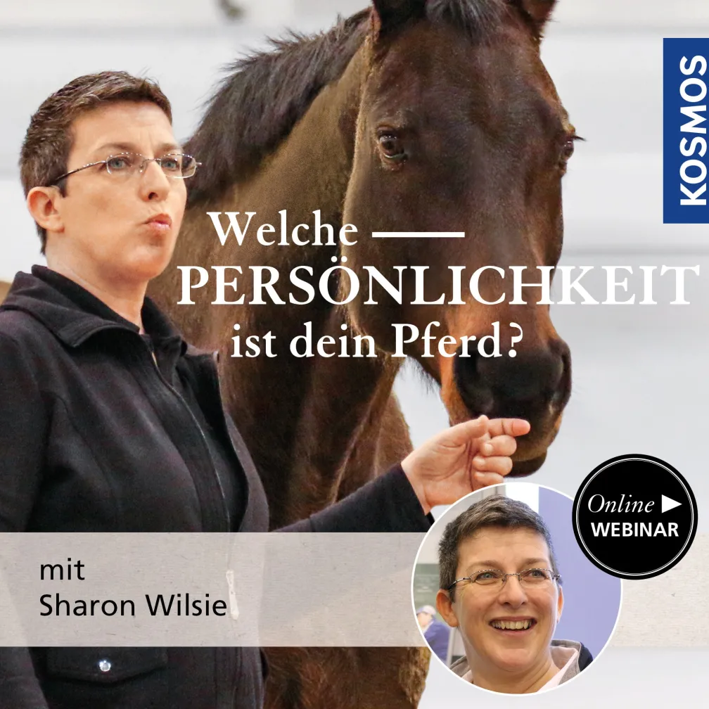 Welche Persönlichkeit ist Ihr Pferd?