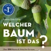 Welcher Baum ist das?