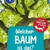 Welcher Baum ist das? Kindernaturführer