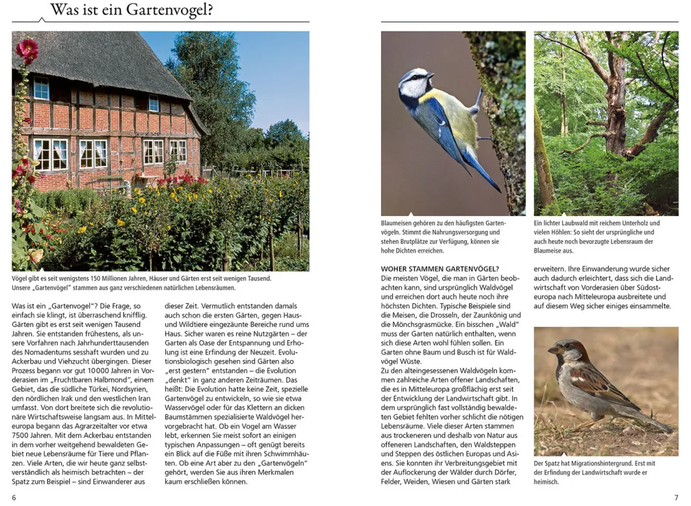 Welcher Gartenvogel ist das?