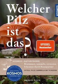Welcher Pilz ist das?