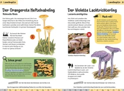 Welcher Pilz ist das? Kindernaturführer
