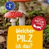 Welcher Pilz ist das? Kindernaturführer