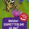 Welcher Schmetterling ist das? Kindernaturführer