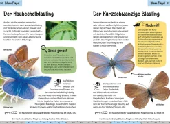 Welcher Schmetterling ist das? Kindernaturführer