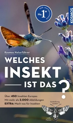 Welches Insekt ist das?