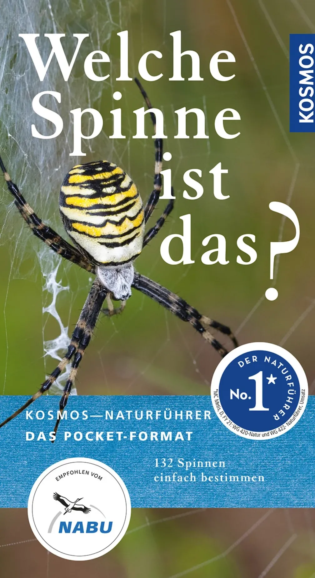 Welche Spinne ist das?