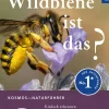 Welche Wildbiene ist das?