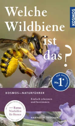 Welche Wildbiene ist das?