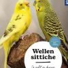Wellensittiche