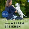 Welpen erziehen mit Erfolg