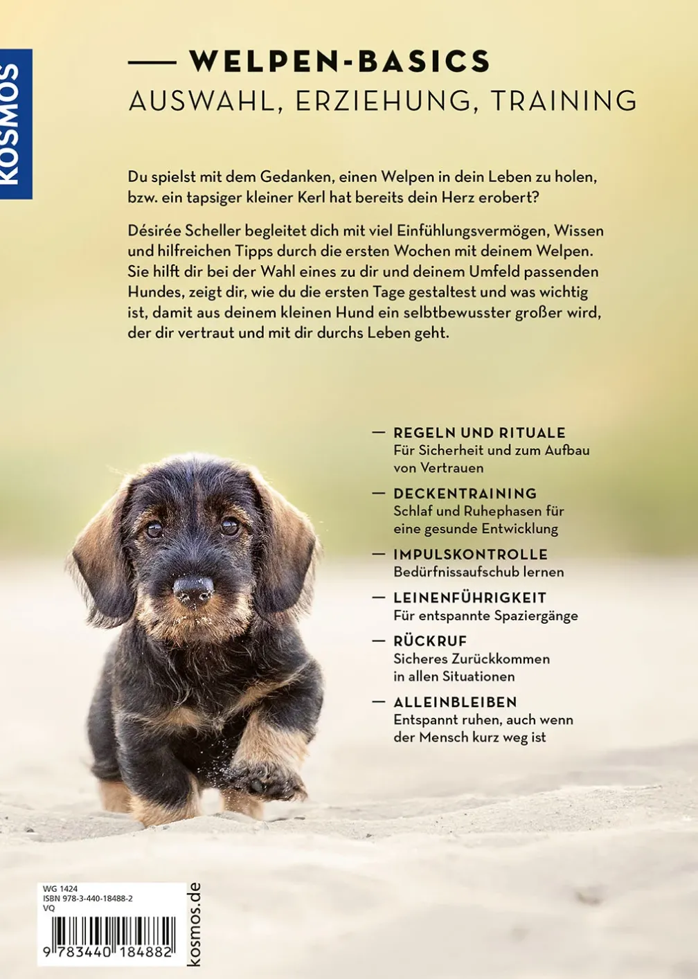 Welpen erziehen mit Erfolg