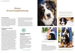 Welpenschule