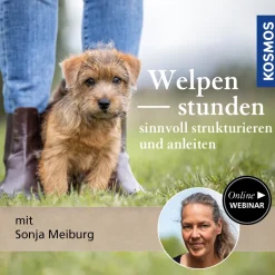 Welpenstunden sinnvoll anleiten und strukturieren