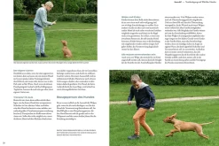 Welpentraining mit Martin Rütter
