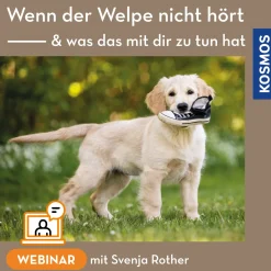 Wenn der Welpe „nicht hört“ – und was das mit dir zu tun hat