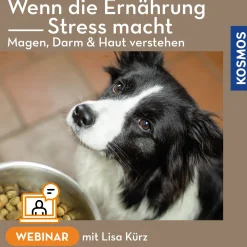 Wenn die Ernährung stress macht – Magen Darm und Haut verstehen