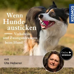 Wenn Hunde austicken – Verhaltens- und Zwangsstörungen beim Hund