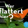 Wer flattert hier