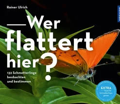 Wer flattert hier
