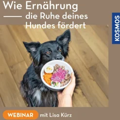 Wie Ernährung die Ruhe deines Hundes fördert