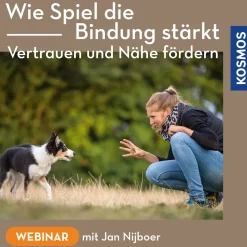 Wie Spiel die Bindung stärkt – Vertrauen und Nähe fördern
