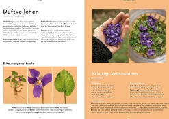 Wild durchs Jahr