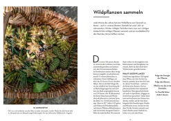 52 wilde Fermente