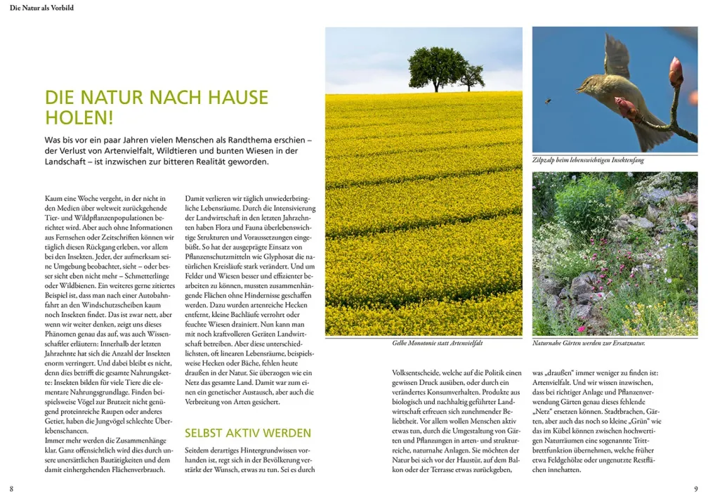 Wilde Kübel