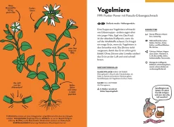 Wilde Pflanzen essen