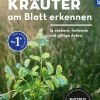 Wildkräuter am Blatt erkennen